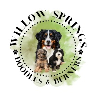 Willow Springs Doodles