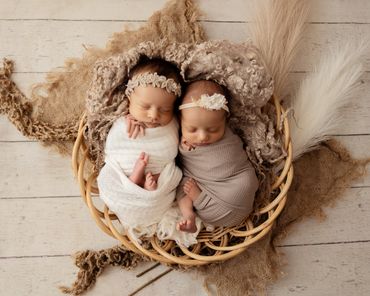 newborn twins photograph