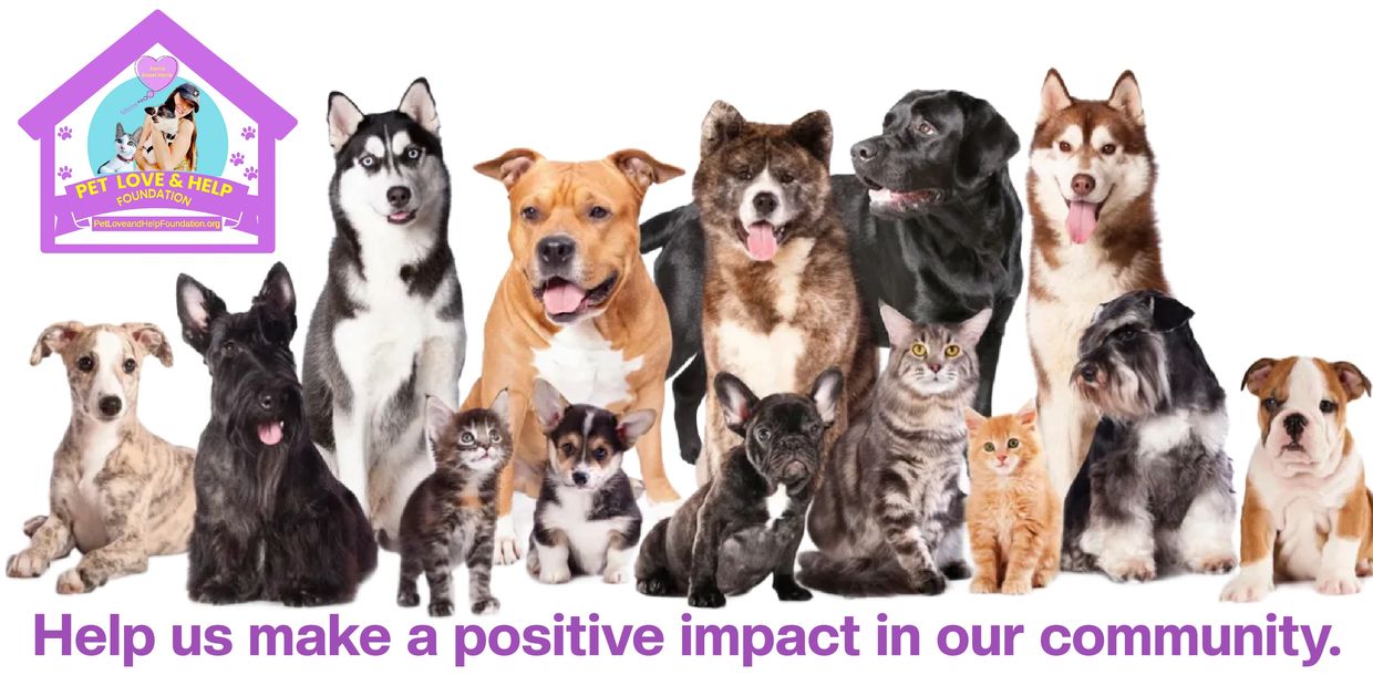 Pet Love and Help Foundation helps us make a positive impact in our community.