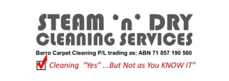 Steam 'n' Dry Cleaning Services