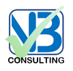 NB CONSULTING