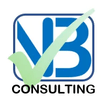 NB CONSULTING