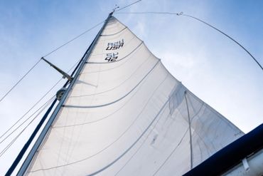 55 ft mainsail