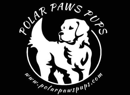 Polar Paws Pups