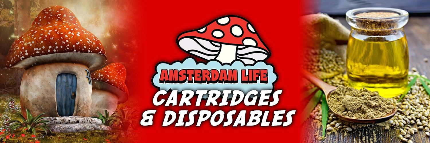 elf bar vape uk AMSTERDAM LIFE - Updated May 2026 - 23 Photos & 20 Reviews - 5813 E Oak  Island Dr, Oak Island, North Carolina - Vape Shops - Phone Number main image 1