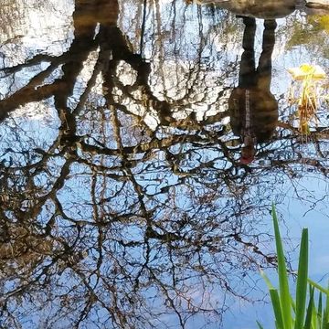 Persona mirando su reflejo en el agua y reflexionando en paz.