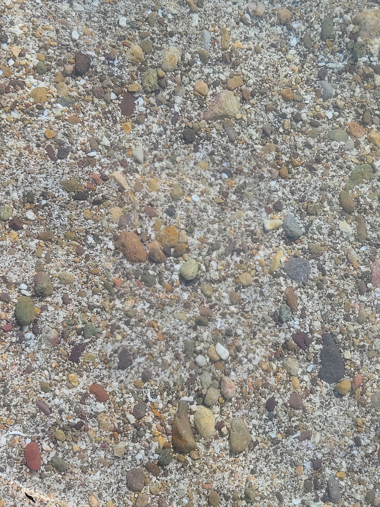 Looking through the clear water