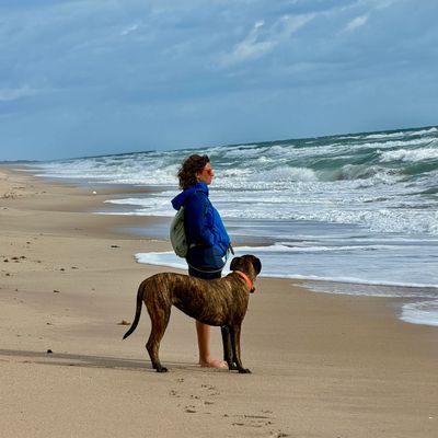 adhd women coaching adhd retreats adhd workshops adhd and stress adhd and dysregulation stress 