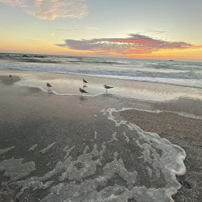 retreats, mini retreats, mindfulness-based practices, self-regulation, nervous system regulation. 