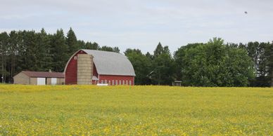 farm yard, with large red barn