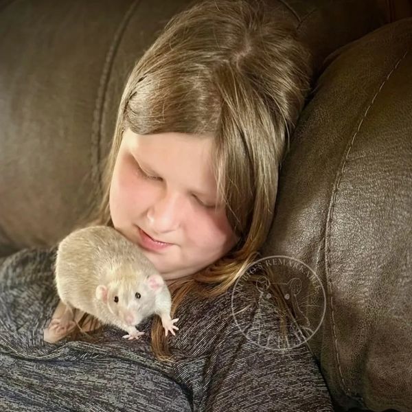 A girl gently holding a pet rat on her shoulder while resting on a couch.