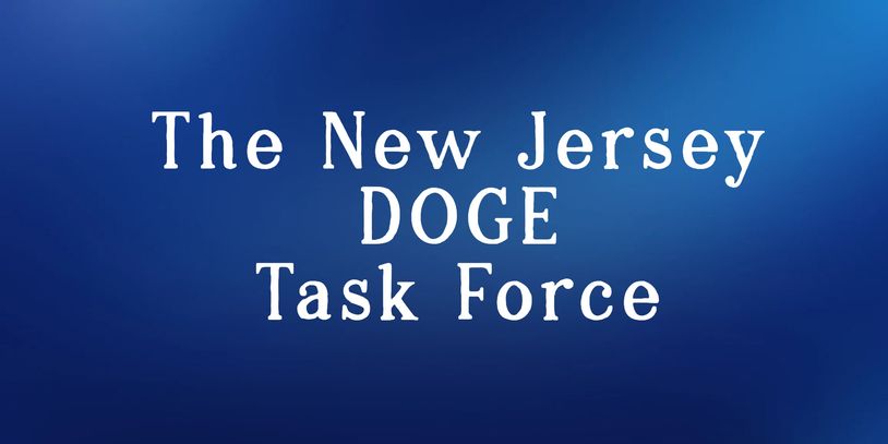 Text on blue background reads "The New Jersey DOGE Task Force."