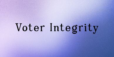 Text 'Voter Integrity' on a purple gradient background.