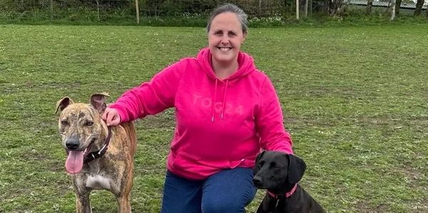 Enjoying a lovely walk with my two Lurchers
