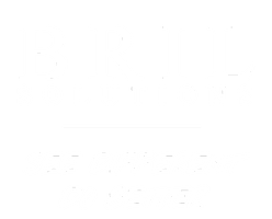 BRIL.Solutions - See different, do better