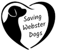 Saving Webster Dogs