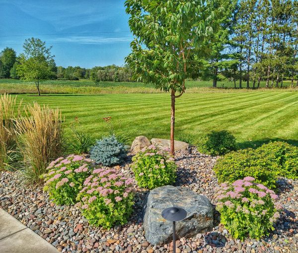 Farmhouse style landscape planting bed