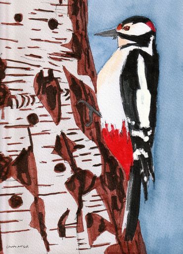 A Great Spotted Woodpecker