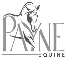 Payne Equine