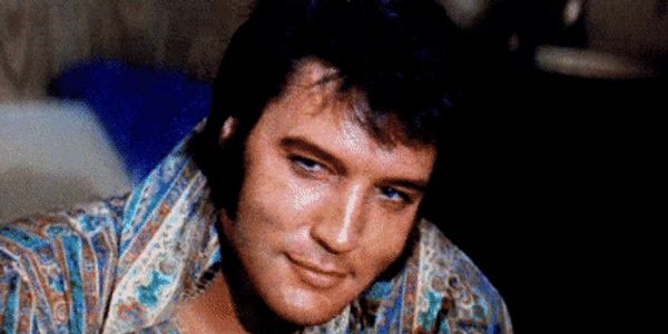 Elvis Presley 1975-1977 by Jeff Schrembs 2010 All Rights Reserved in 2023