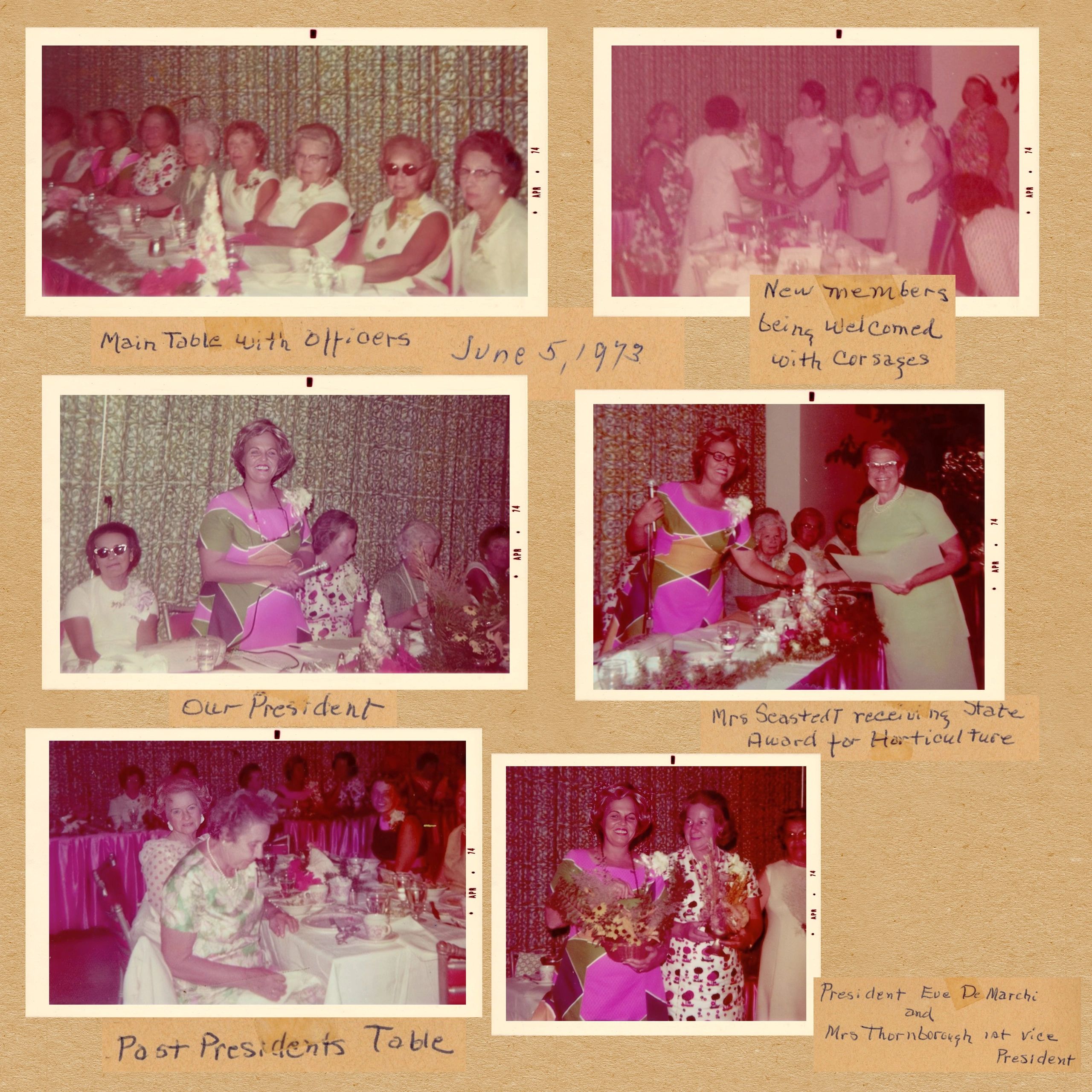 1973 women's club event with officers, new members, president, and award ceremony.