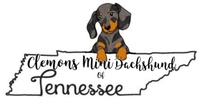 Clemons Mini Dachshunds of Tennessee