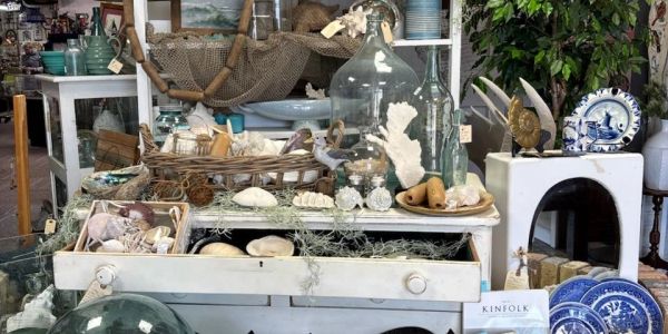 Collection of seashells and vintage decor on a white table.