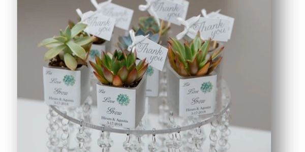 succulent favors custom made for a wedding