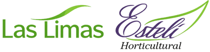 Estelí
