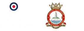 354 (Dover) Squadron