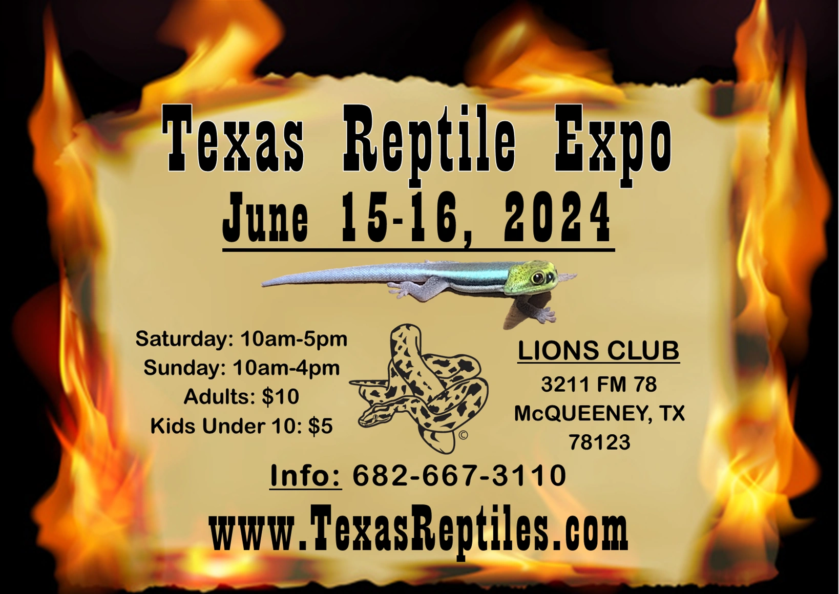 (c) Texasreptiles.com