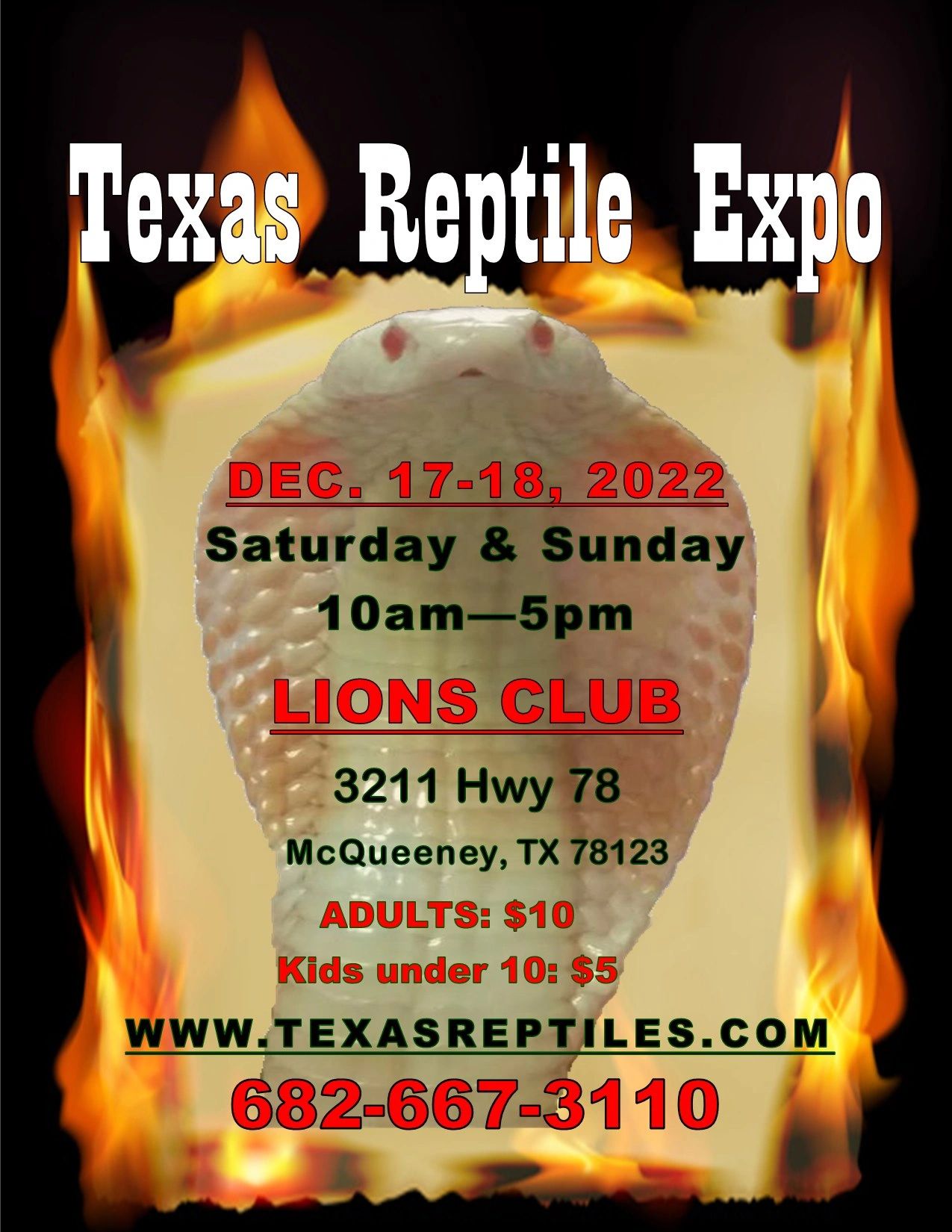 texas station casino reptile expo
