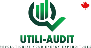 Utili-Audit