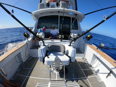SeaWolf functional fishing cockpit 