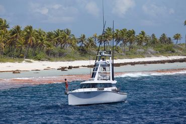 SeaWolf fishing the edge of the reef