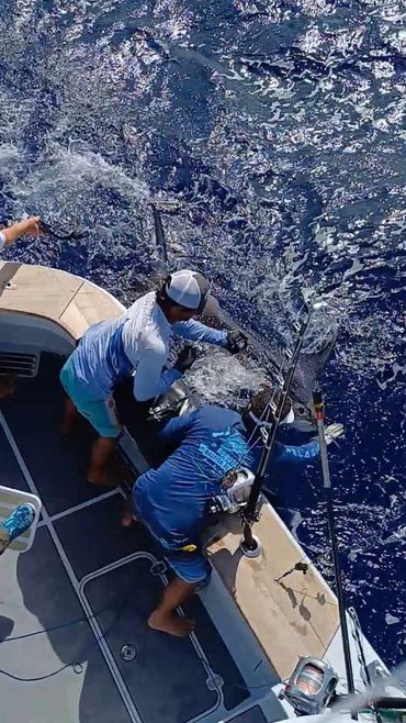 Professional crew and Big Fish with Fish Bora Bora