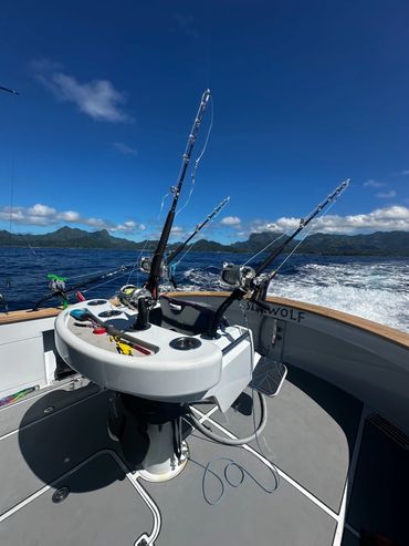 Fishing Bora Bora big cockpit offers space and comfort 