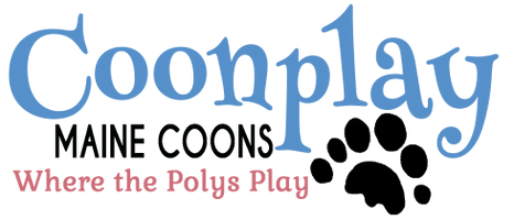 Coonplay 
Maine Coons 