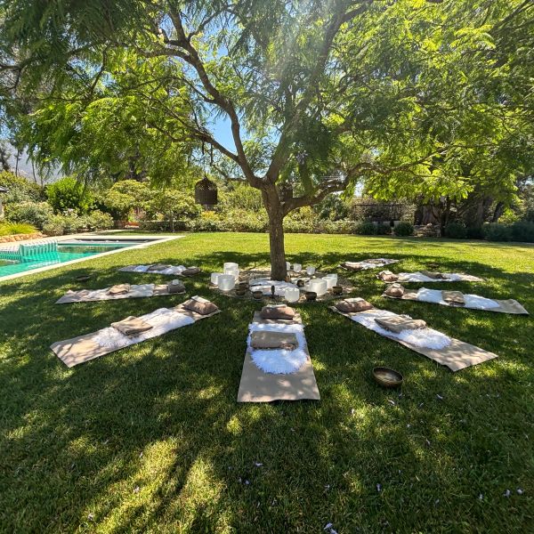 Meditation setup under a tree by a pool.