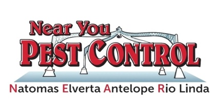Near You Pest Control