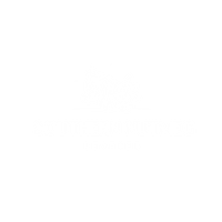 Southern Nutmeg Leather