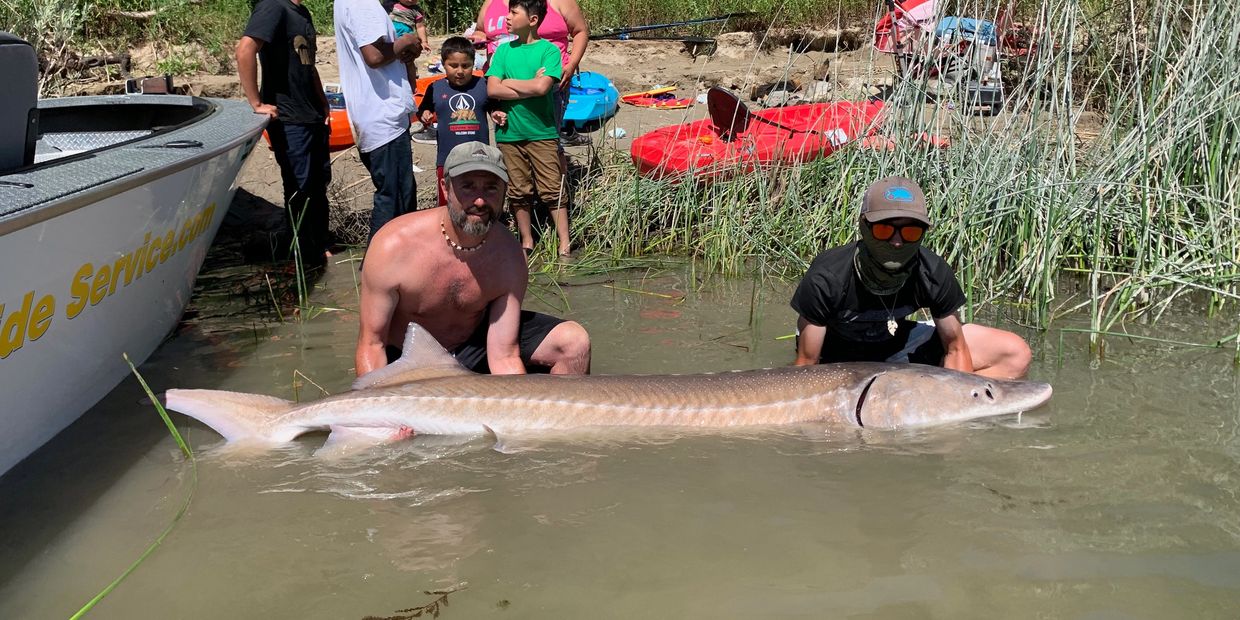 Idaho Sturgeon & Bass Takedown Guide Service