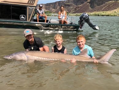 Avid fisherman catches first big Idaho sturgeon in Snake River