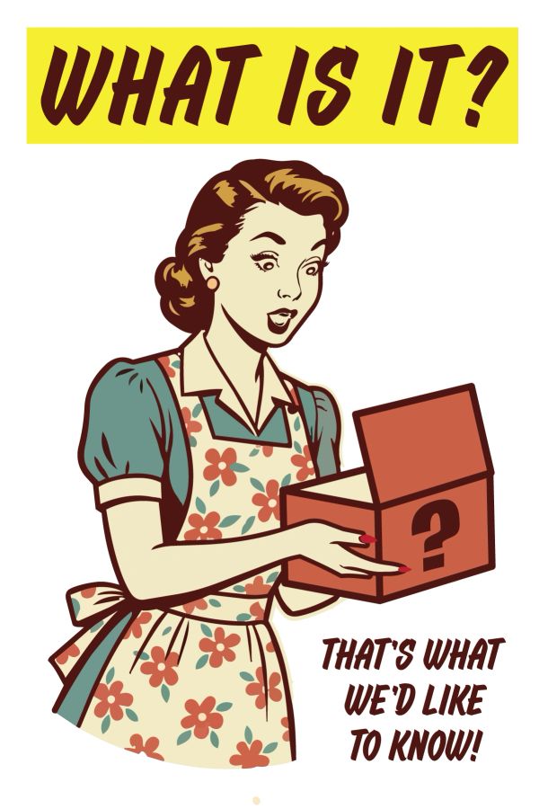 Woman in vintage style with a mystery box.