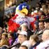 Washington Capitals WINGER National Hockey League Eagle Mascot Washington DC