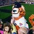 Detroit Tigers PAWS Major League Baseball  Mascot Michigan