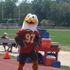 Bridgewater College ERNIE Eagle Mascot Virginia