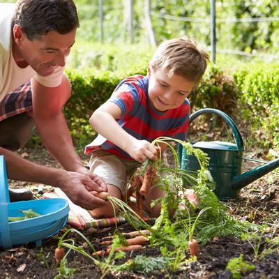 Man and child gardening together