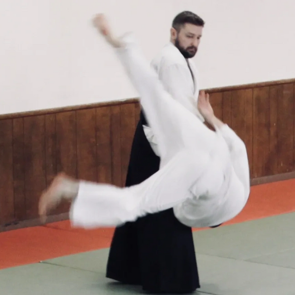 Aikido Classes in Los Angeles, Japanese martial arts, Aikido Dojo, School, Samurai, Shogun, Japan