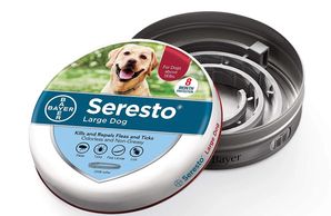 Reviews on the best dog flea and tick control products.  Dog flea and tick control products for sale